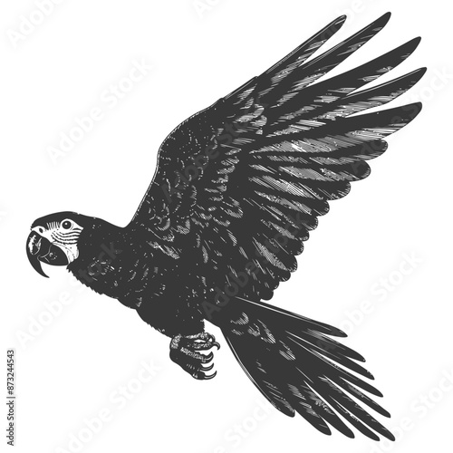 Detailed sketch of a parrot with outstretched wings in flight