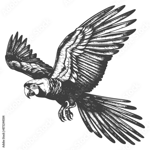 Detailed Sketch of a Parrot with Outstretched Wings in Flight