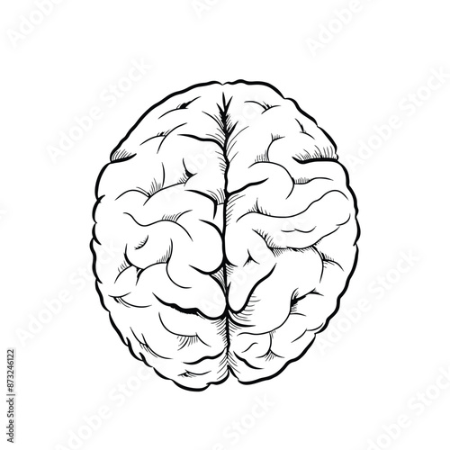 Brain hand drawn vector illustration