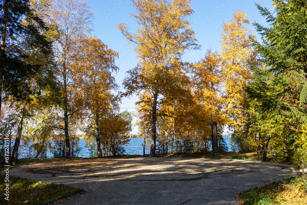 Round space next to lake surrounded by golden autumn birch trees. Autumn landscape. Local travel. Round space next to lake surrounded by golden autumn birch trees. Autumn landscape. Local travel.