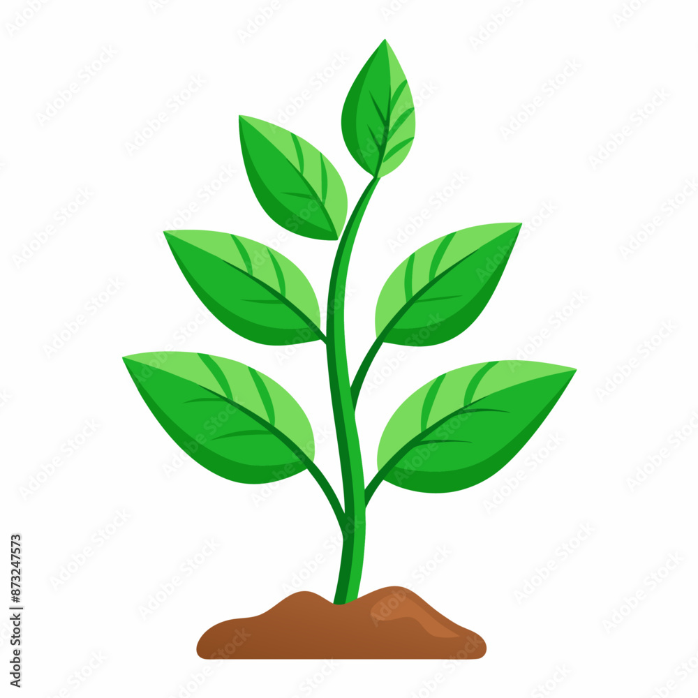 plant clipart cartoon Illustration drawing plant clipart cartoon Illustration drawing