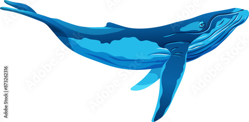 Humpback whale. Minke whales. Vector cartoon character isolated on white background. Game object for computer games, printing, notebooks.