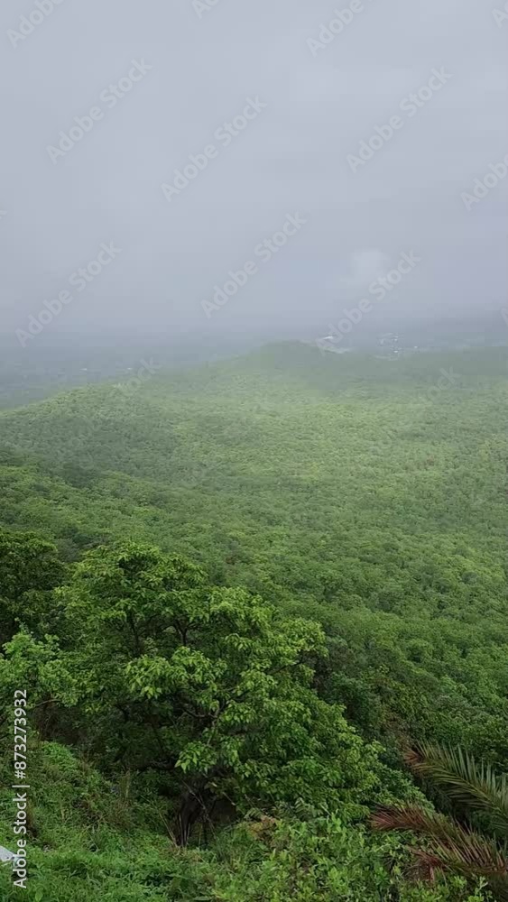 misty morning in the mountains misty morning in the mountains