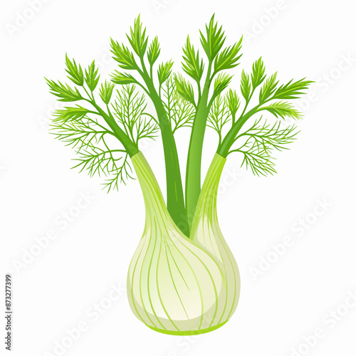 fennel isolated