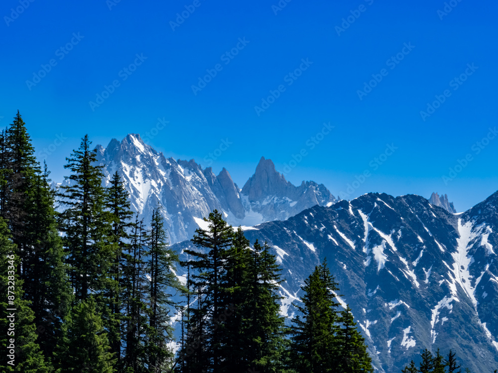 massif alpin avec aiguilles en beaucoup de névés, ciel bleu, épicéas en premier plan, et plusieurs plans de montagnes massif alpin avec aiguilles en beaucoup de névés, ciel bleu, épicéas en premier plan, et plusieurs plans de montagnes