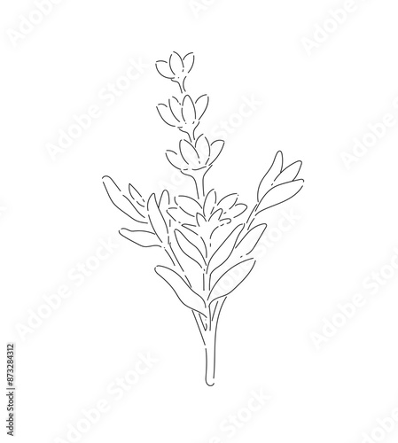 Flowers vector illustration for design and decoration.