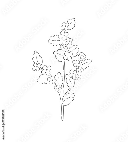 Flowers vector illustration for design and decoration.