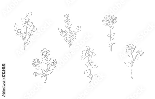 Set of flower line vector illustration for design and decoration.
