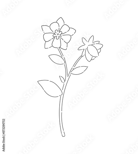 Flowers vector illustration for design and decoration.