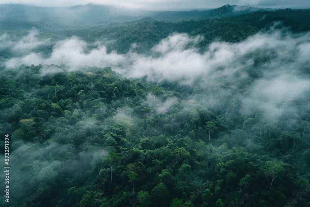 Aerial view of dark green forest with misty clouds. The rich natural ecosystem of rainforest concept of natural forest conservation and reforestation - generative ai Aerial view of dark green forest with misty clouds. The rich natural ecosystem of rainforest concept of natural forest conservation and reforestation - generative ai