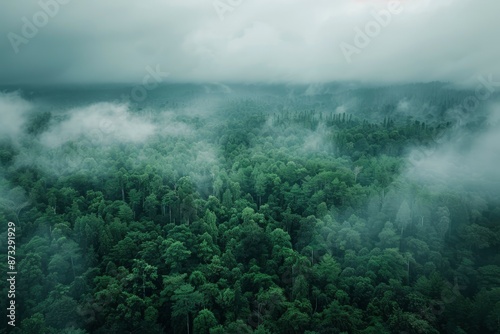 Aerial view of dark green forest with misty clouds. The rich natural ecosystem of rainforest concept of natural forest conservation and reforestation - generative ai © Nia™