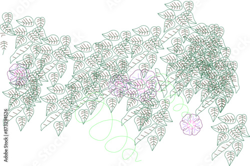 Vector silhouette illustration sketch, detailed design, ornament, ornament, logo, flower, plant icon for site plan layout 