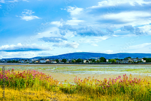 Photography Dublin, Ireland - wetland beach under blue sky and white clouds