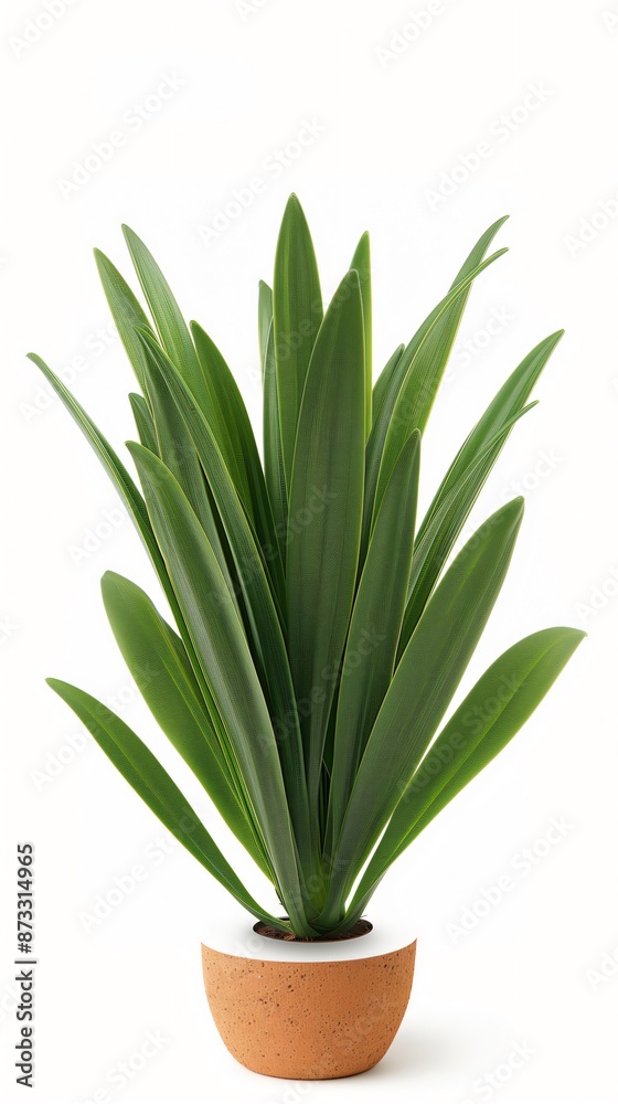 Vibrant green houseplant thrives in a modern pot against a white background, bringing nature indoors. Perfect for home decor, this plant adds freshness and vitality to any room Vibrant green houseplant thrives in a modern pot against a white background, bringing nature indoors. Perfect for home decor, this plant adds freshness and vitality to any room
