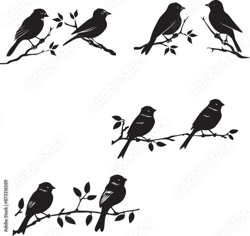 Photography Black silhouette bird on white background