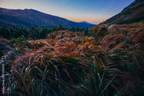 Amazing sunset in Carpathian mountains, around Brebeneskul lake, Ukraine photo