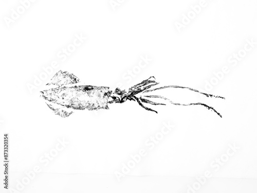 Squid imprint in gyotaku technique