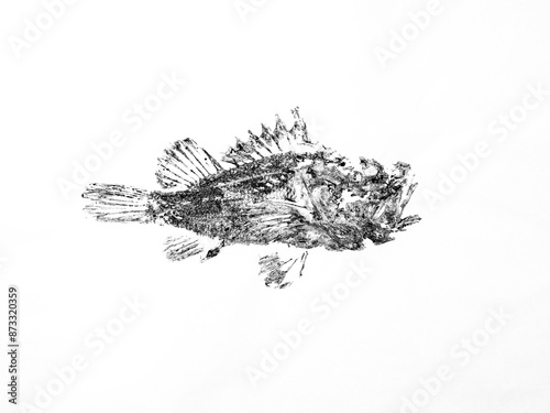 Gyotaku print of fish on white background photo