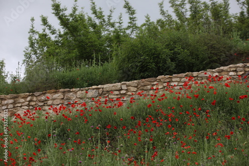 View of archaeological site - Heraklea Sintika. Historical site with ruins of Heraklea Sintika. Architectural background photo