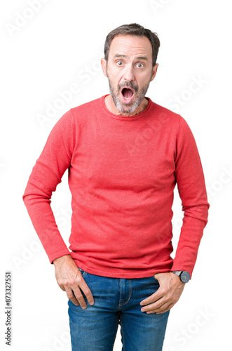 Handsome middle age hoary senior man wearing winter sweater over isolated background afraid and shocked with surprise expression, fear and excited face.