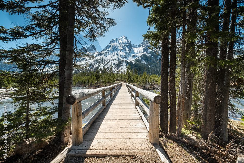 Fototapeta premium A tree with yellow flowers is in the foreground