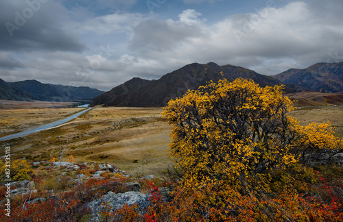 Russia. The South of Western Siberia. Gorny Altai. View of the rocky placers of the Altai autumn steppes in the valley of the Katuni River along the Chui tract. photo