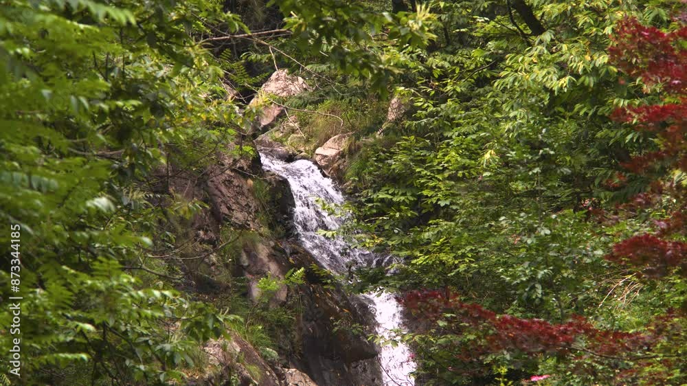 wild rivers flowing water, dramatic nature, bright water, riverside, mountain, clear water, water drop, stream, lush, fresh, wet, clear, splash, beautiful, forest, green, ecology, outdoors, mountain wild rivers flowing water, dramatic nature, bright water, riverside, mountain, clear water, water drop, stream, lush, fresh, wet, clear, splash, beautiful, forest, green, ecology, outdoors, mountain