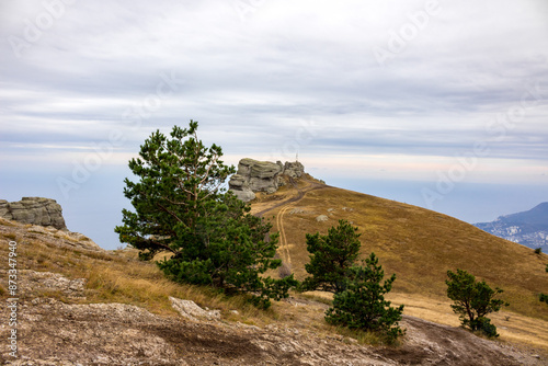 Demerdzhi (Demirdzhi, Demirji) Mountain in the Crimea photo