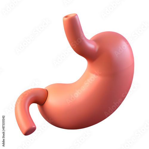 Fototapeta Naklejka Na Ścianę i Meble -  Human stomach organ structure 3d icon on the transparent background