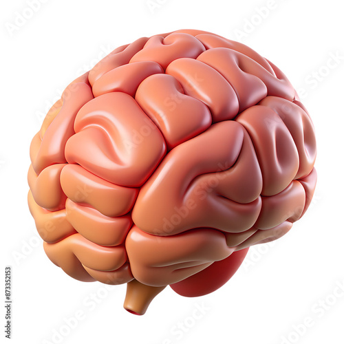 Fototapeta Naklejka Na Ścianę i Meble -  Human brain hemispheres organ structure 3d icon on the transparent background