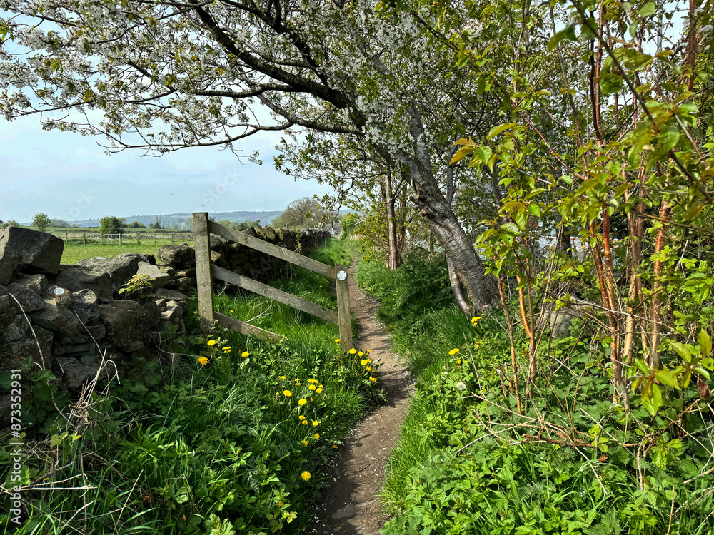Narrow footpath, leading past fields, and trees, with hills in the far distance, on the outskirts of, Wilsden, UK Narrow footpath, leading past fields, and trees, with hills in the far distance, on the outskirts of, Wilsden, UK