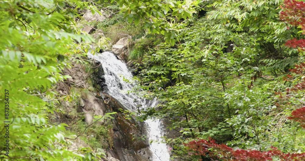 wild rivers flowing water, dramatic nature, bright water, riverside, mountain, clear water, water drop, stream, lush, fresh, wet, clear, splash, beautiful, forest, green, ecology, outdoors, mountain wild rivers flowing water, dramatic nature, bright water, riverside, mountain, clear water, water drop, stream, lush, fresh, wet, clear, splash, beautiful, forest, green, ecology, outdoors, mountain