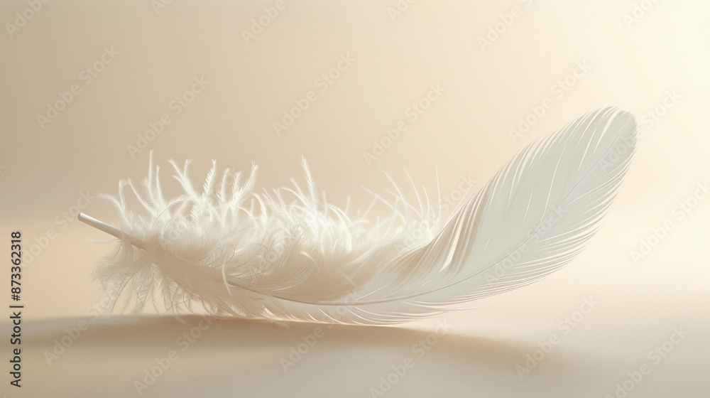 Fototapeta premium feather on a light background
