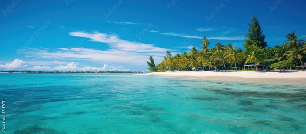 Tropical Paradise: Lush Palm Trees Frame a Pristine Beach and Crystal Clear Ocean Tropical Paradise: Lush Palm Trees Frame a Pristine Beach and Crystal Clear Ocean
