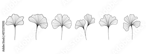 Ginkgo biloba outline sketch. Abstract botanical ginkgo tree leaf silhouettes, elegant vintage floral chinese plant elements for logo design. Vector isolated set