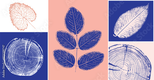 Decorative leaf prints and wood block prints. Monotone pink and blue botanical impression print.