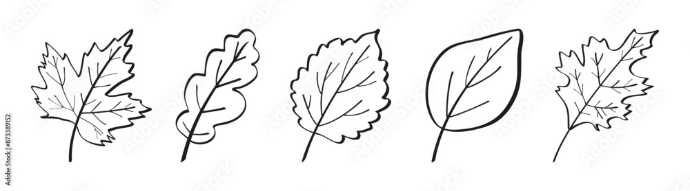 Obraz premium Set of autumn leaves drawn with one line outline. Flat doodle style. Vector illustration.