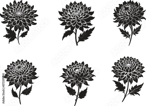 Chrysanthemum silhouette vector illustration design bundle