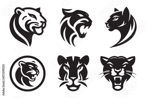 set of black and white tigers