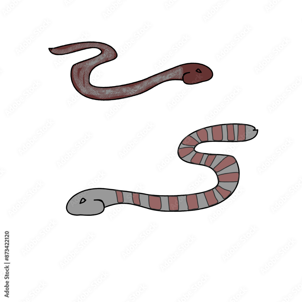 Fototapeta premium two snakes - mysterious reptiles