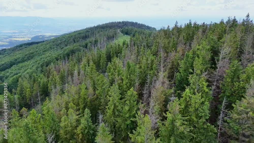 landscape with trees and mountains landscape with trees and mountains