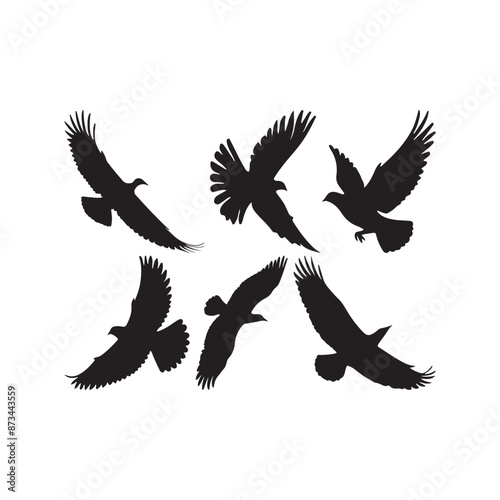 Eagle flying silhouette illustration