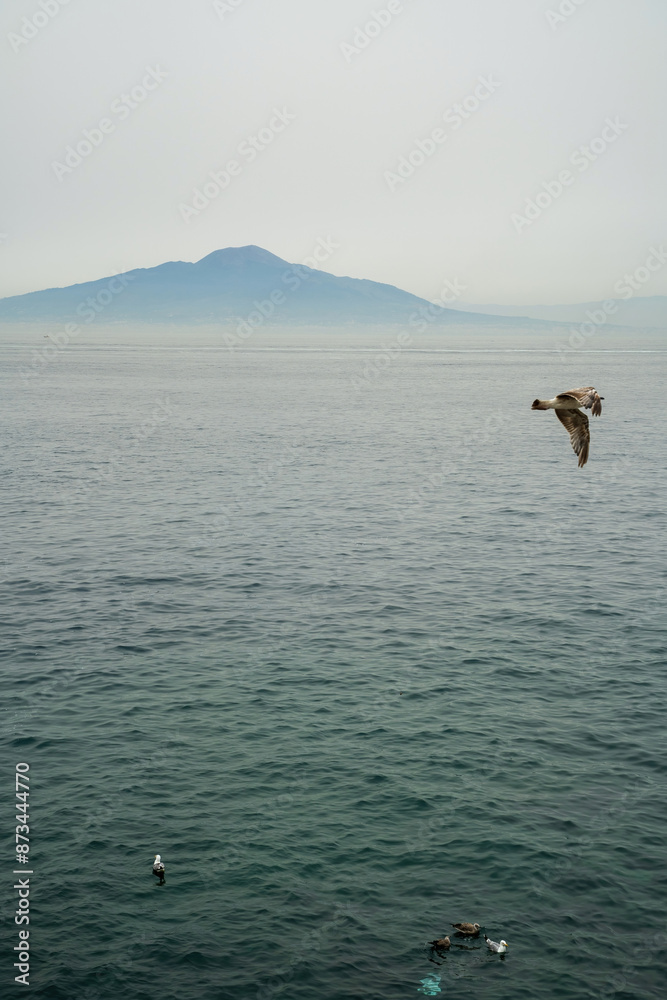 Seagull flying against mount vesuvius volcanco