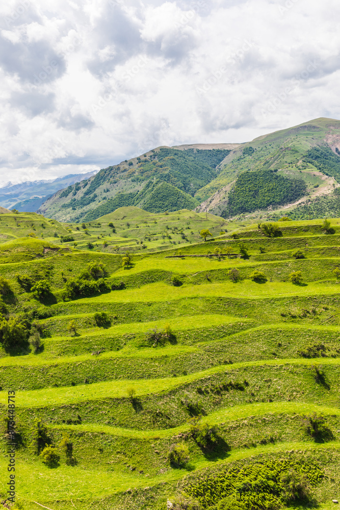 Chokh terraces are a medieval irrigation and farming system in Dagestan, Russia, green terraces on the slopes of Mount Chokh Chokh terraces are a medieval irrigation and farming system in Dagestan, Russia, green terraces on the slopes of Mount Chokh