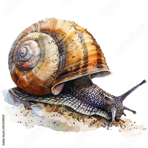 Watercolor painting vector of a Snail, isolated on a white background, Snail vector, clipart Illustration, Graphic logo, drawing design art, clipart image