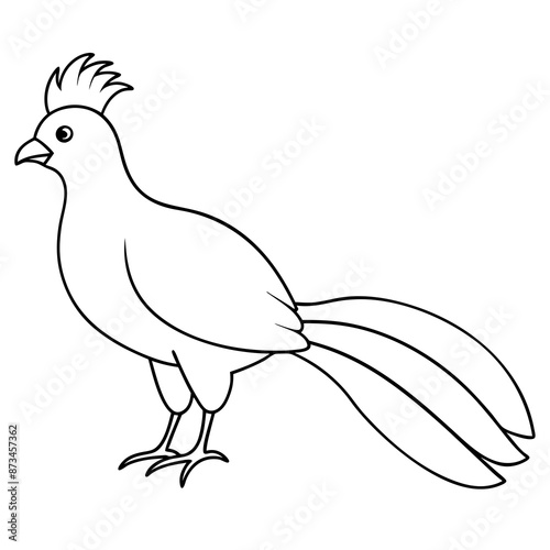Bird Vector Illustration