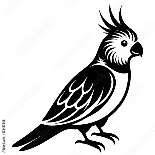 Bird Vector Illustration