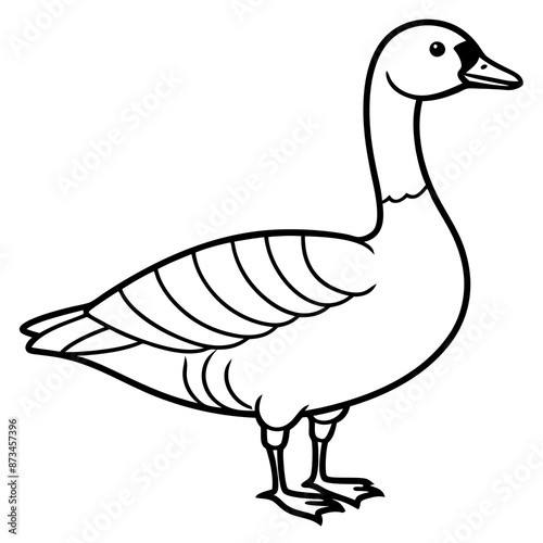 Bird Vector Illustration