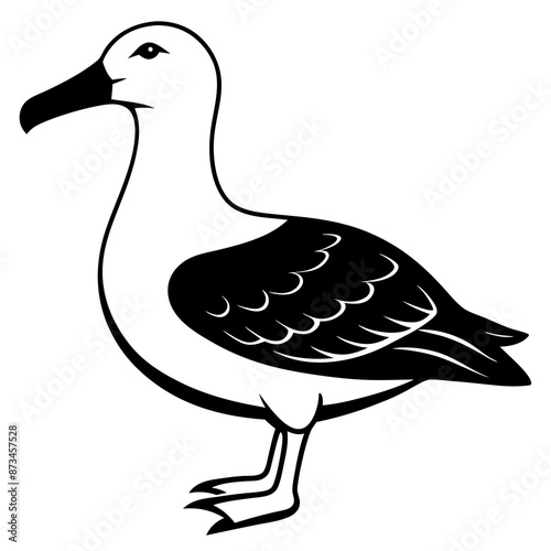 Bird Vector Illustration