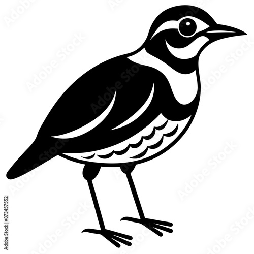 Bird Vector Illustration